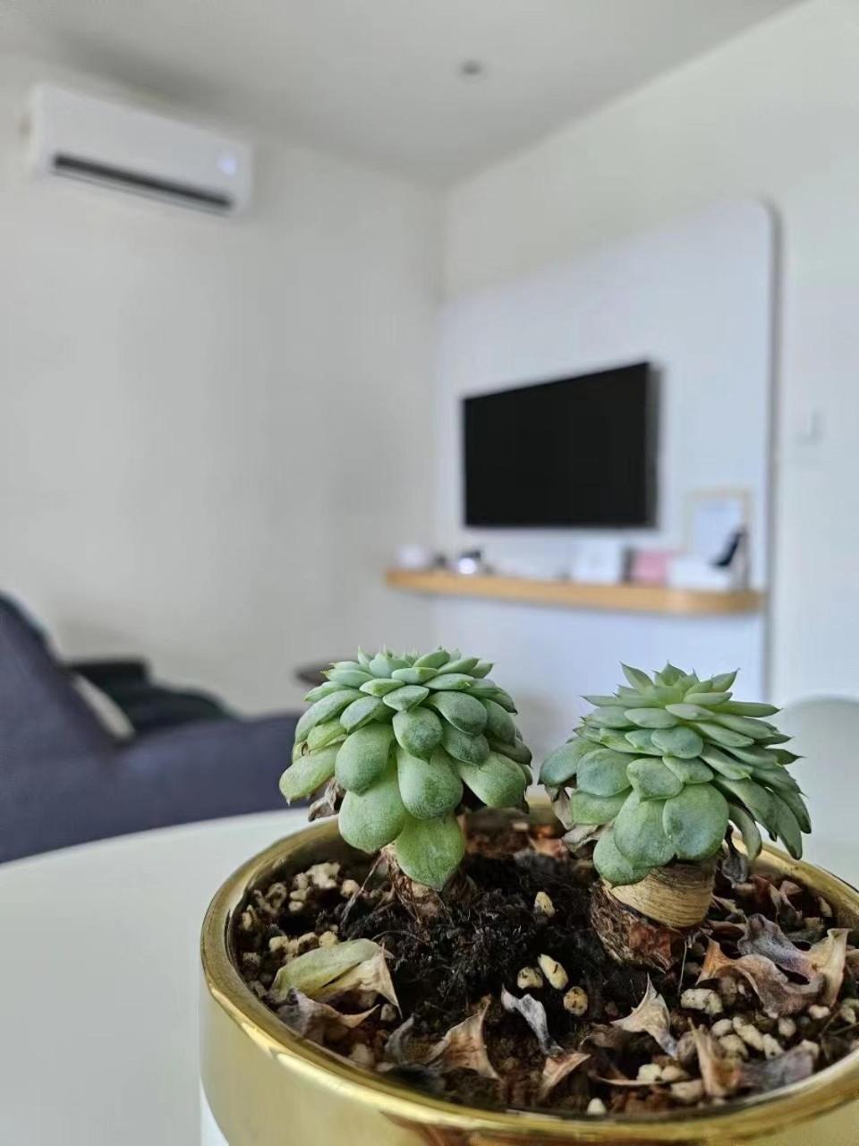 Cityview Studio Apartment At Kota Kinabalu City Centre Екстериор снимка
